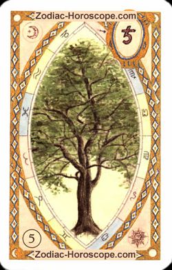 The tree, monthly Love and Health horoscope February Taurus