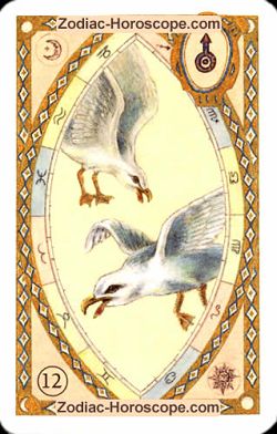 The birds, monthly Love and Health horoscope February Taurus