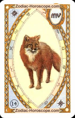 The fox, monthly Love and Health horoscope December Taurus