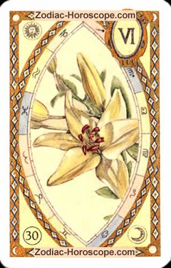 The lily, monthly Love and Health horoscope February Taurus