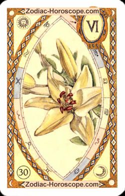 The lily, monthly Love and Health horoscope November Taurus