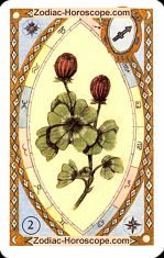 The clover astrological Lenormand Tarot