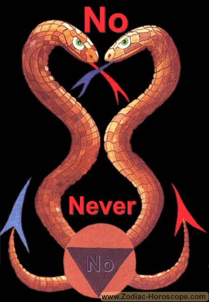 The snake answers no