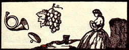 General Tarot card for today