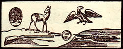General Tarot card for today