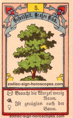 The tree, monthly Taurus horoscope October