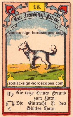 The dog, monthly Taurus horoscope November