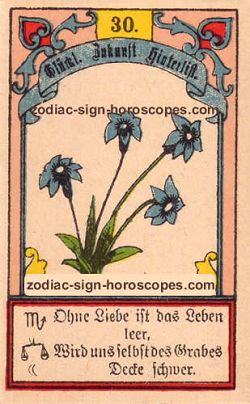 The lily, monthly Taurus horoscope April